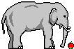 gajah imej-animasi-gif